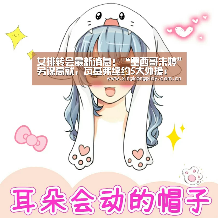 星空体育app