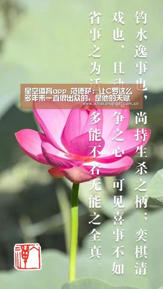 星空体育app