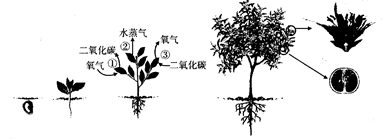 星空体育官网