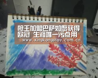 星空体育app